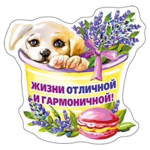 Основное изображение