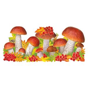 Основное изображение
