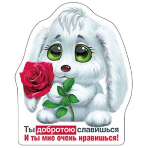 Основное изображение