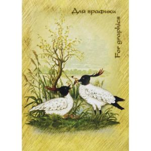 Основное изображение