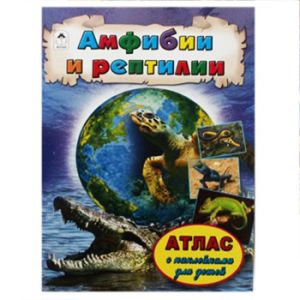 Основное изображение