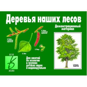Основное изображение