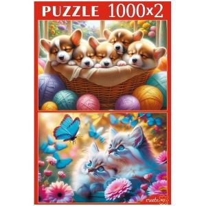 336336