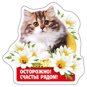 Основное изображение