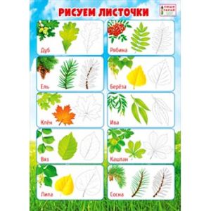 Основное изображение