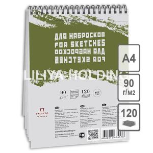 Основное изображение