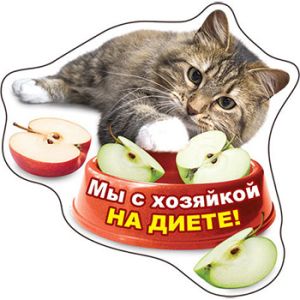 Основное изображение