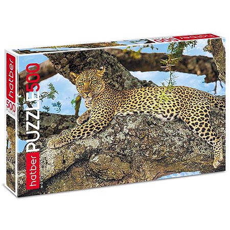 Основное изображение