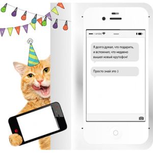 Основное изображение