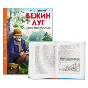 Основное изображение