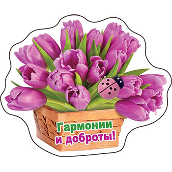 Основное изображение