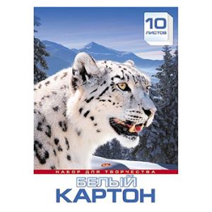 Основное изображение