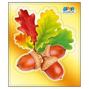 Основное изображение