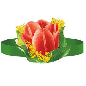 Основное изображение