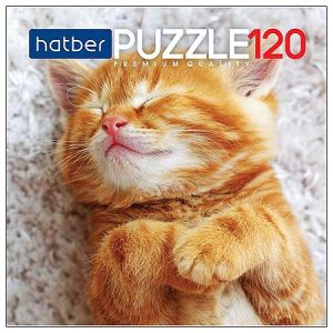 Основное изображение