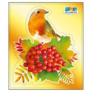 Основное изображение