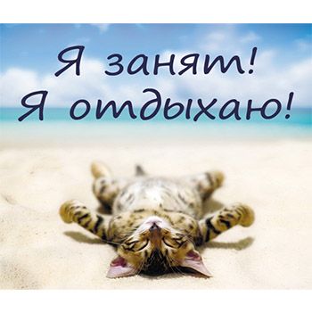Основное изображение